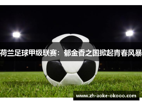 荷兰足球甲级联赛：郁金香之国掀起青春风暴