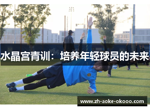 水晶宫青训：培养年轻球员的未来